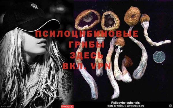 spice Беломорск