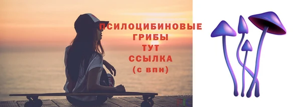 spice Беломорск