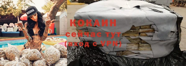 эйфоретик Белокуриха