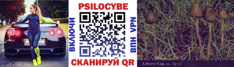 Галлюциногенные грибы Psilocybe  Власиха 